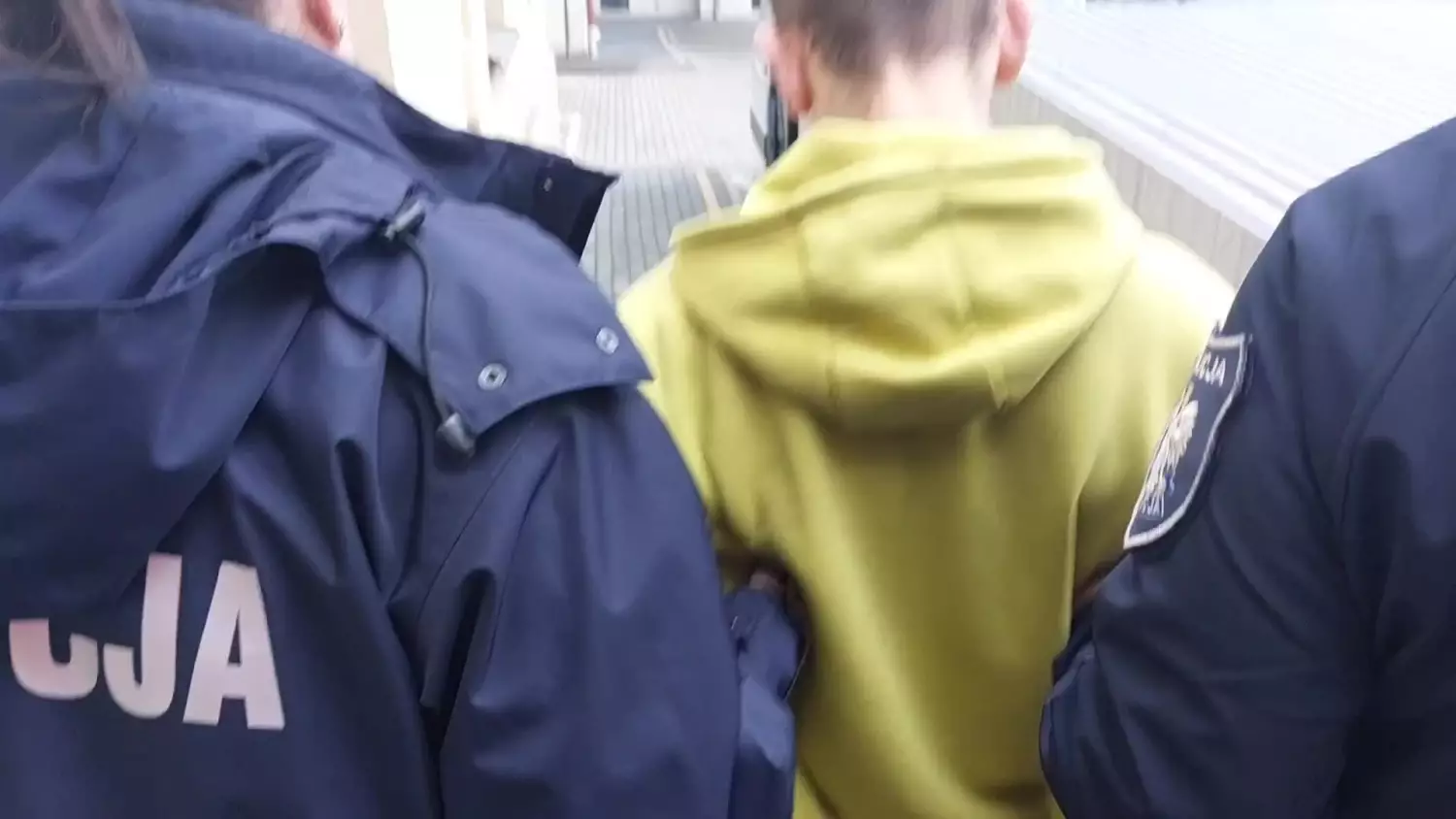 Mieszkaniec Śląska aresztowany za oszustwa na seniorach – straty sięgają 200 tysięcy złotych [WIDEO]