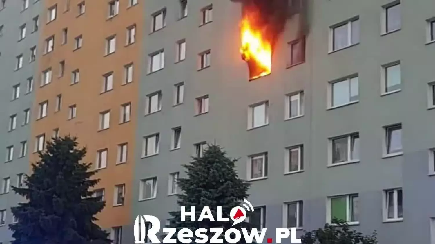 Pożar mieszkania w bloku na Popiełuszki w Rzeszowie