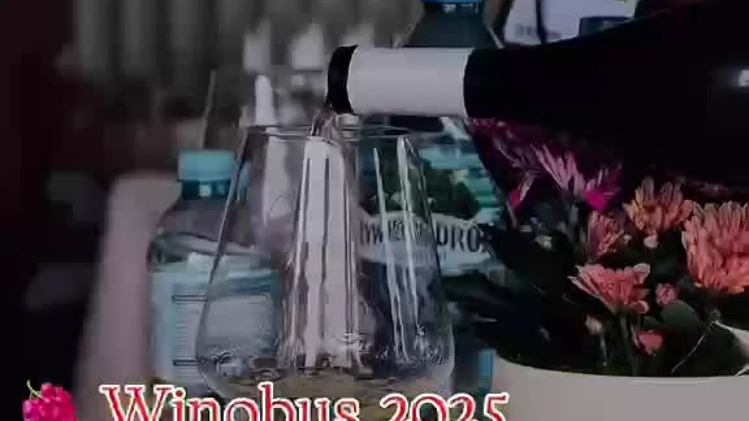 Winobus!